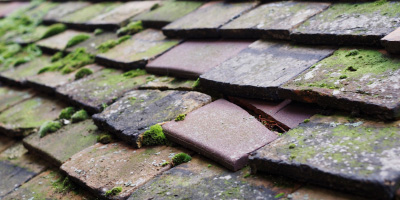 Ramsey Heights roof repair costs